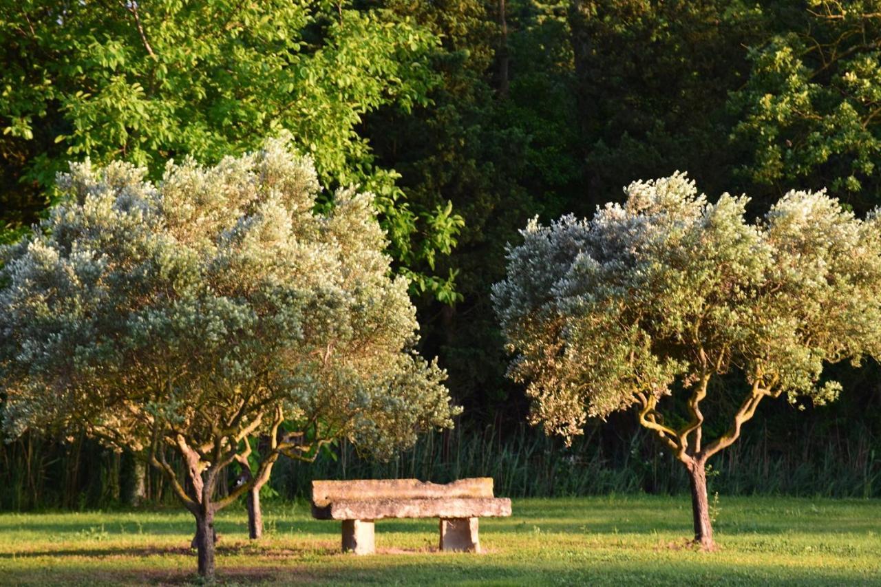 La Bastide Des Amouriers Caumont-sur-Durance Buitenkant foto