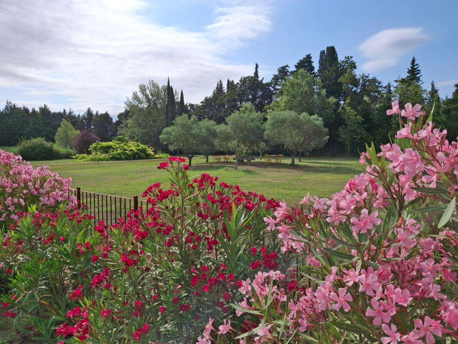 La Bastide Des Amouriers Caumont-sur-Durance Buitenkant foto